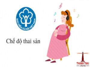 che do thai san luatthanhthai