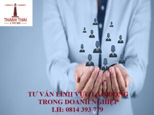 lao dong trong doanh nghiep luatthanhthai 1