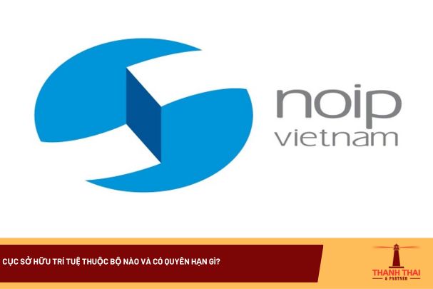 Cục Sở hữu trí tuệ thuộc Bộ nào và có quyền hạn gì? 9 Cục Sở hữu trí tuệ thuộc Bộ nào và có quyền hạn gì